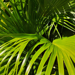 阿拉丁视频每日推荐视频
